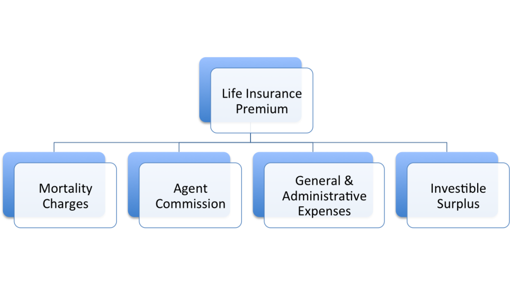 Life insurance premium